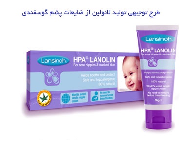 sheep-Lanolin-2