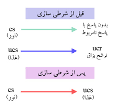 پاورپوینت یادگیری و شرطی سازی